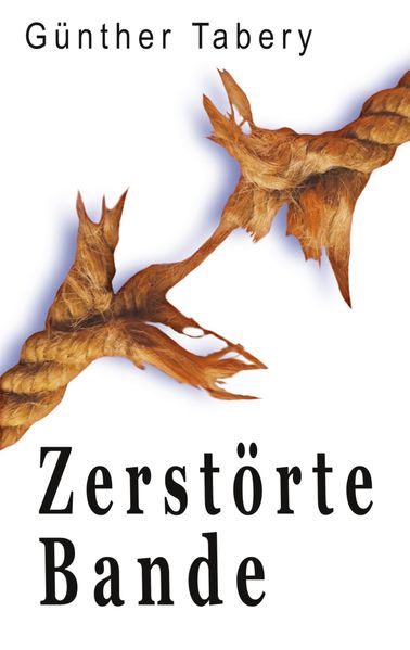 Cover von Zerstörte Bande