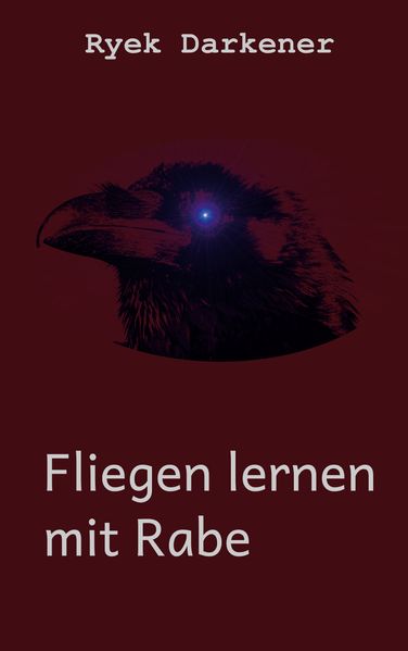 Cover von Fliegen lernen mit Rabe