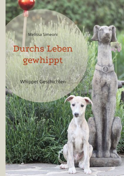 Cover von Durchs Leben gewhippt