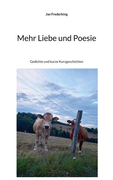 Cover von Mehr Liebe und Poesie