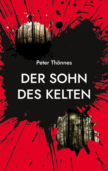 Cover von Der Sohn des Kelten