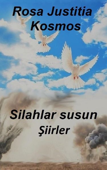 Cover von Silahlar Susun