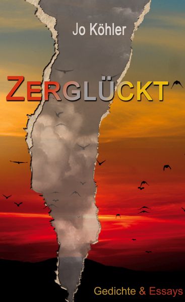 Cover von Zerglückt
