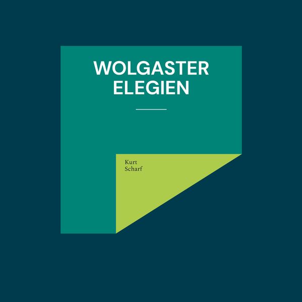 Cover von Wolgaster Elegien