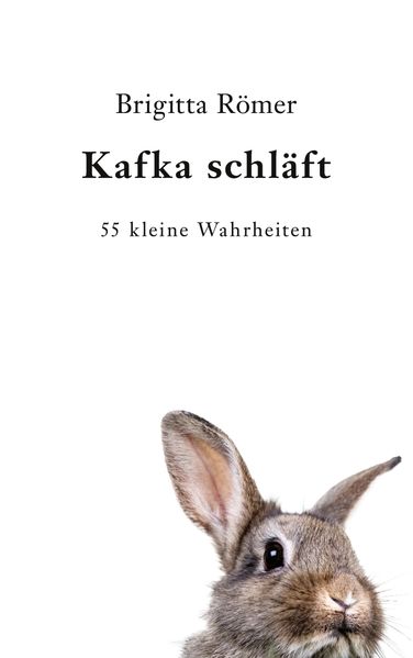 Cover von Kafka schläft