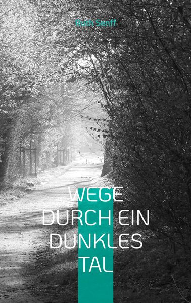 Cover von Wege durch ein dunkles Tal