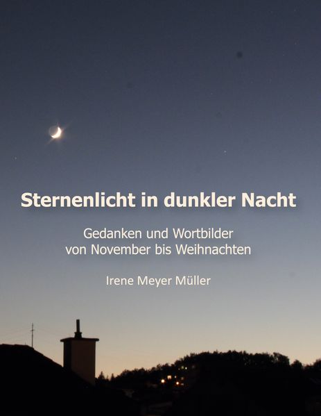 Cover von Sternenlicht in dunkler Nacht