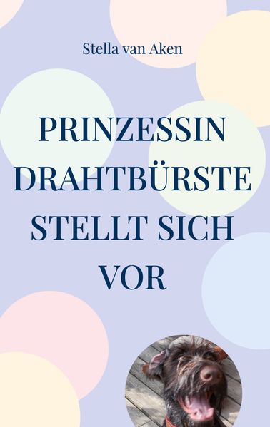 Cover von Prinzessin Drahtbürste stellt sich vor