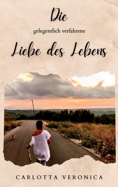 Cover von Die gelegentlich verfahrene Liebe des Lebens