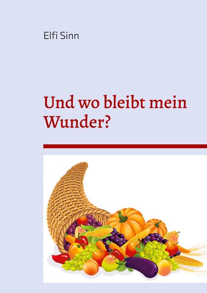 Cover von Und wo bleibt mein Wunder?