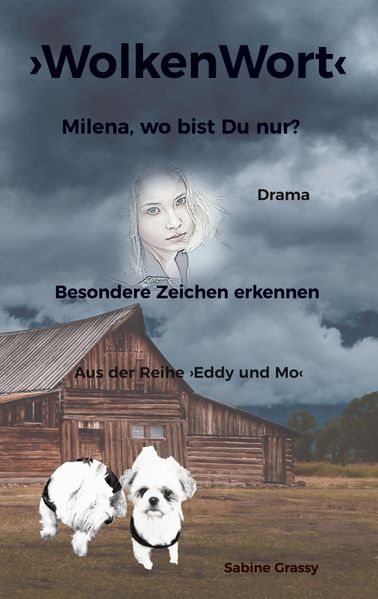 Cover von WolkenWort