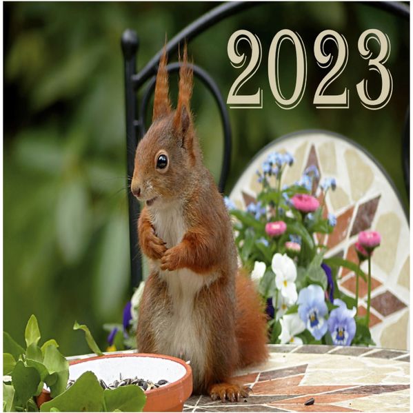 Cover von Kalender 2023 – Eichhörnchen