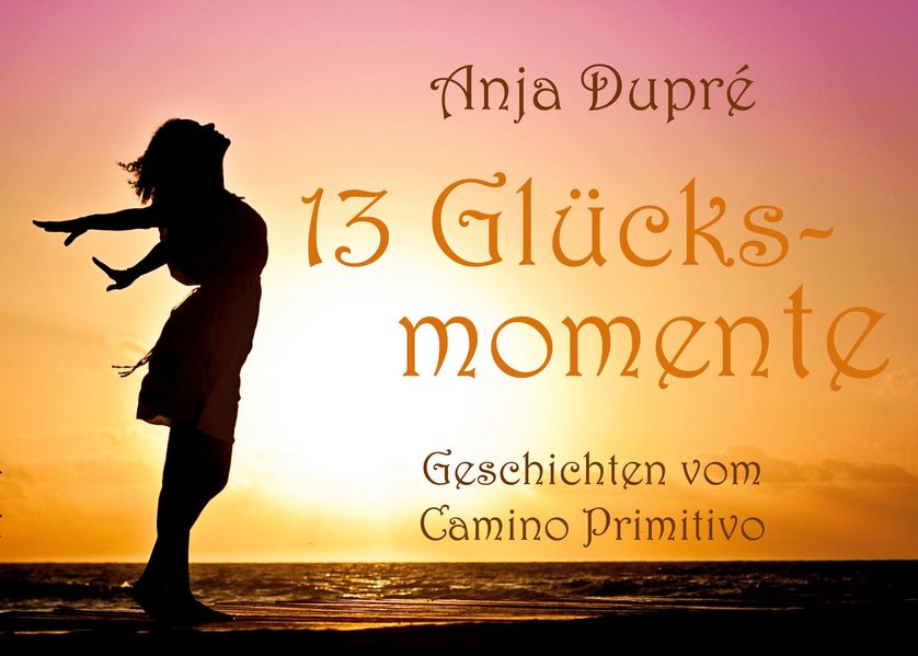 Cover von 13 Glücksmomente