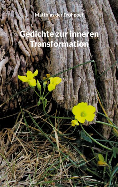Cover von Gedichte zur inneren Transformation