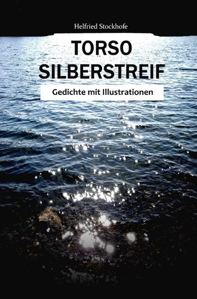 Cover von Torso Silberstreif
