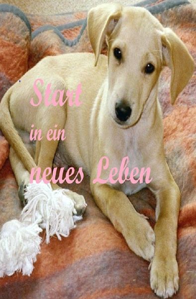 Cover von Start in ein neues Leben