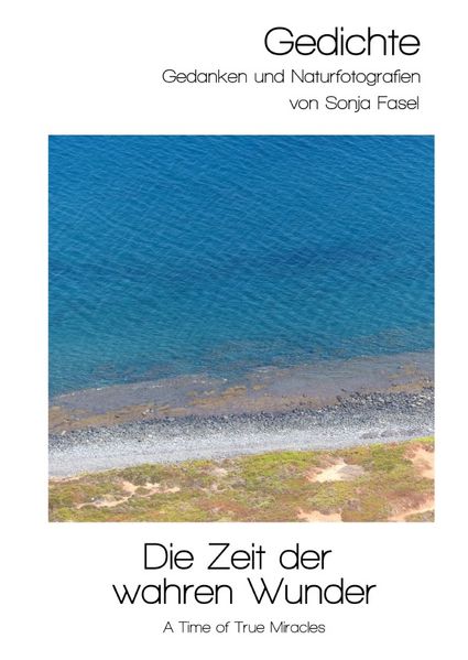 Cover von Lebe das Wunder in Dir/Die Zeit der wahren Wunder (A Time of True Miracles)