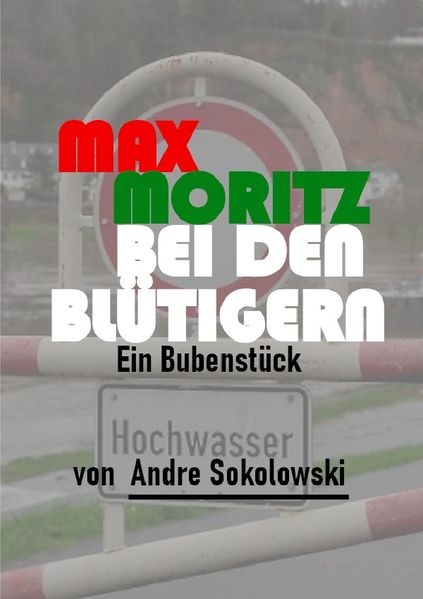 Cover von MAX MORITZ BEI DEN BLÜTIGERN