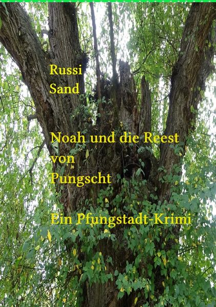 Cover von Noah und die Reest von Pfungstadt