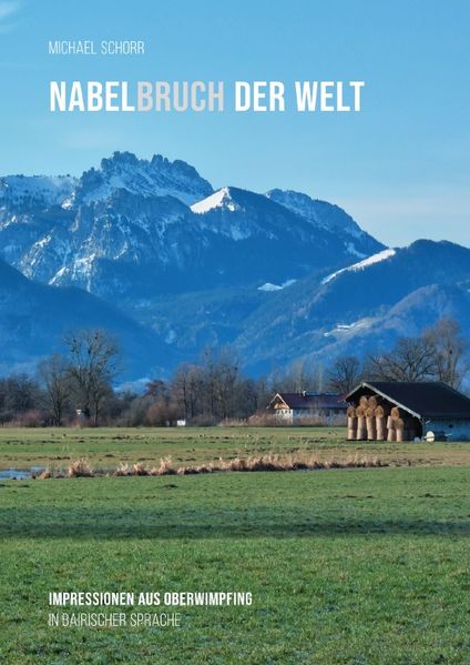 Cover von NABELbruch DER WELT