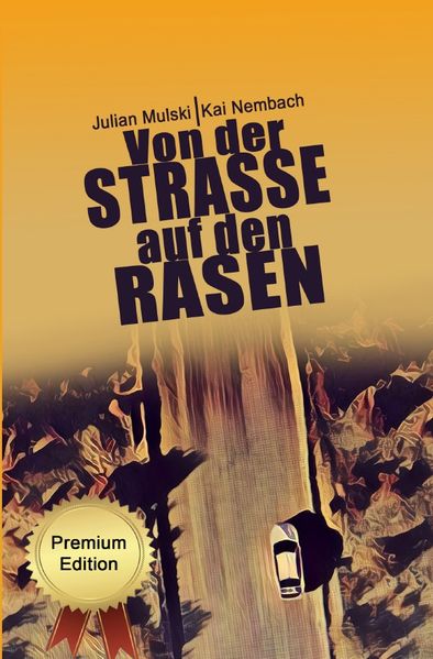 Cover von Die Willi Werner Reihe/Von der Straße auf den Rasen
