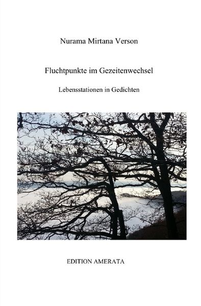 Cover von Fluchtpunkte im Gezeitenwechsel