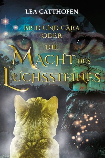 Cover von Brid und Cara oder Die Macht des Luchssteines