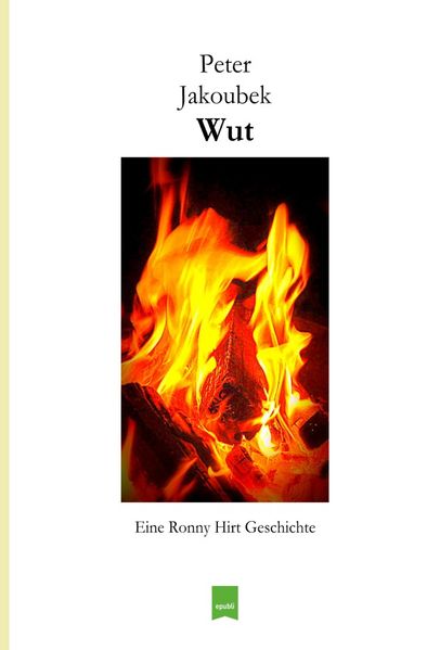 Cover von Eine Ronny Hirt Geschichte/Wut – Eine Ronny Hirt Geschichte