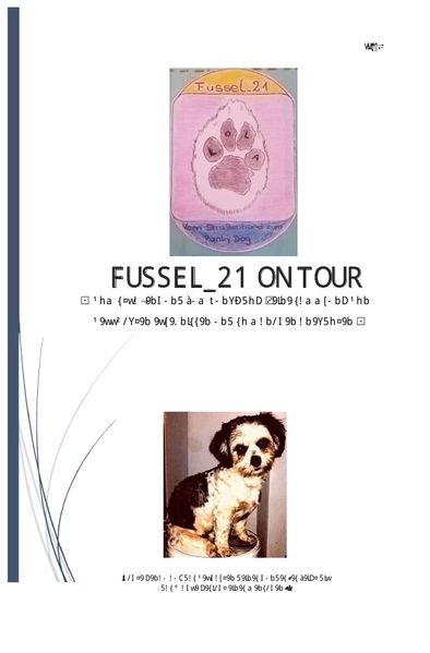 Cover von Fussel_21 on Tour – Vom Straßenhund zum Punky Dog –