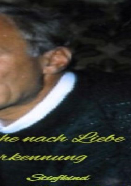 Cover von Auf der Suche nach Liebe und Anerkennung