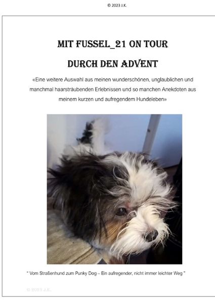Cover von Fussel_21 on Tour/Mit Fussel_21 on Tour durch den Advent