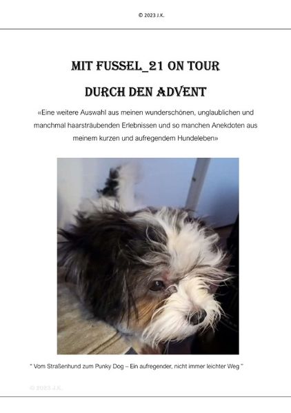 Cover von Mit Fussel_21 on Tour durch den Advent