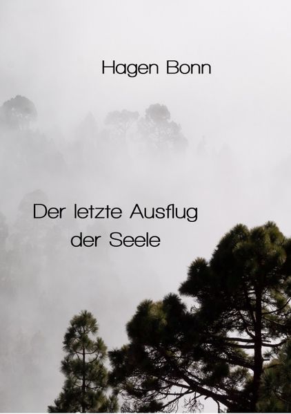 Cover von Der letzte Ausflug der Seele