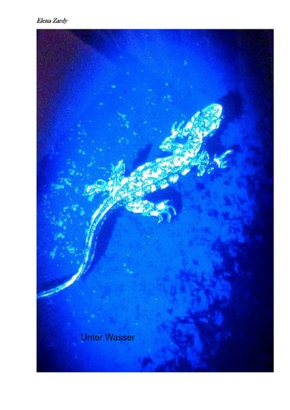 Cover von Unter Wasser