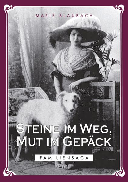 Cover von Steine im Weg, Mut im Gepäck