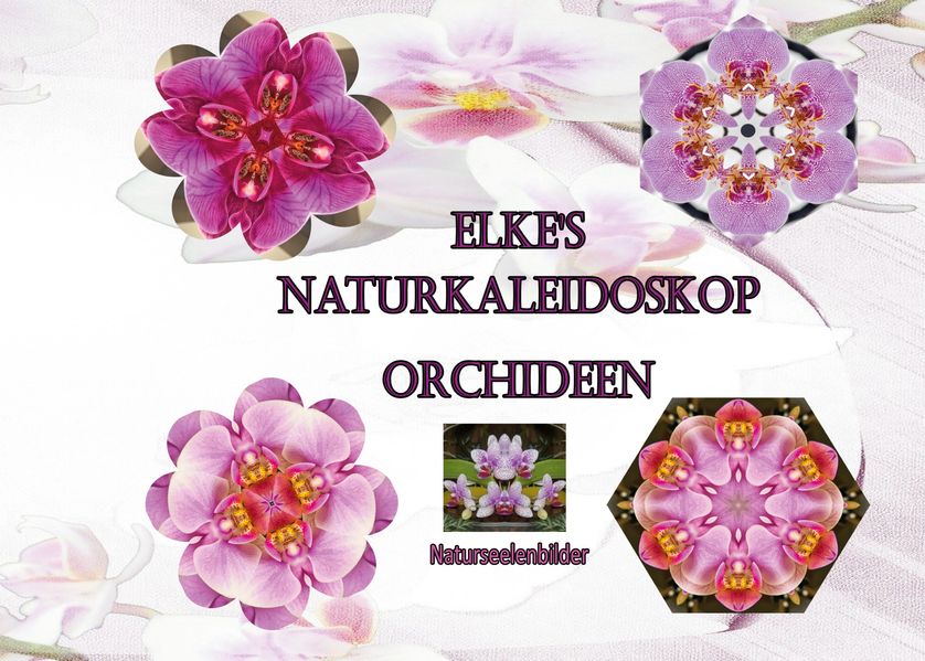 Cover von Elkes Naturkaleidoskop