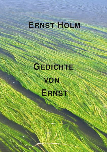 Cover von Gedichte von Ernst