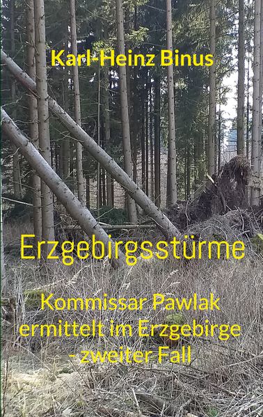 Cover von Erzgebirgsstürme