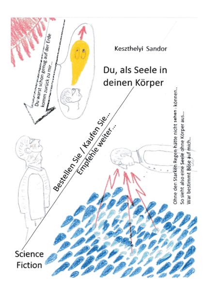 Cover von Du, als Seele in deinen Körper
