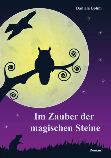 Cover von Im Zauber der magischen Steine