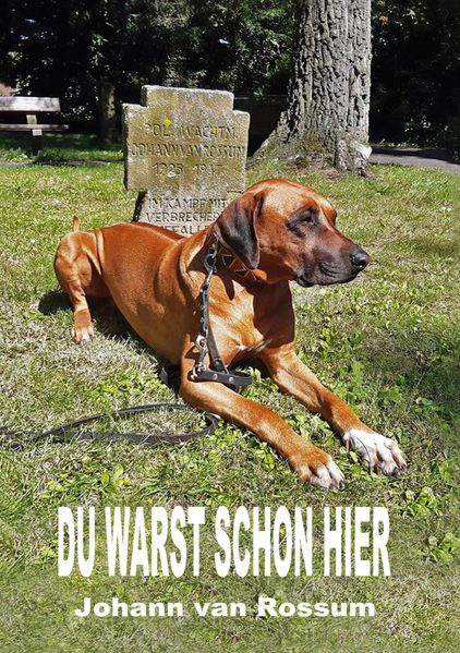 Cover von Du warst schon hier