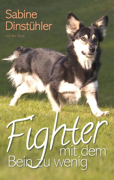 Cover von Fighter mit dem Bein zu wenig