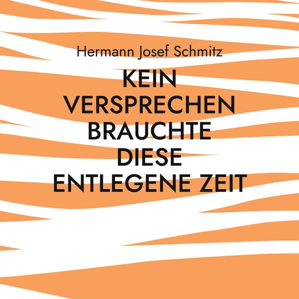 Cover von Kein Versprechen brauchte diese entlegene Zeit