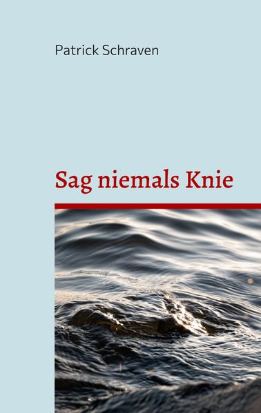 Cover von Sag niemals Knie