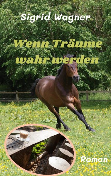 Cover von Wenn Träume wahr werden