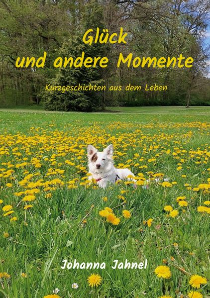 Cover von Glück und andere Momente