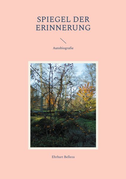 Cover von Spiegel der Erinnerung