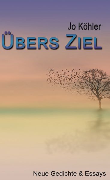 Cover von Übers Ziel