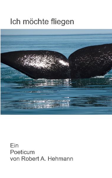 Cover von Ich möchte fliegen