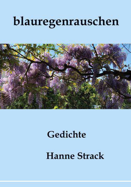 Cover von blauregenrauschen